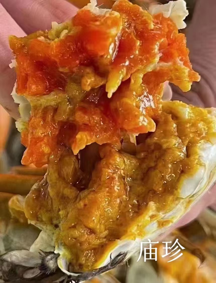 金鑫大闸蟹